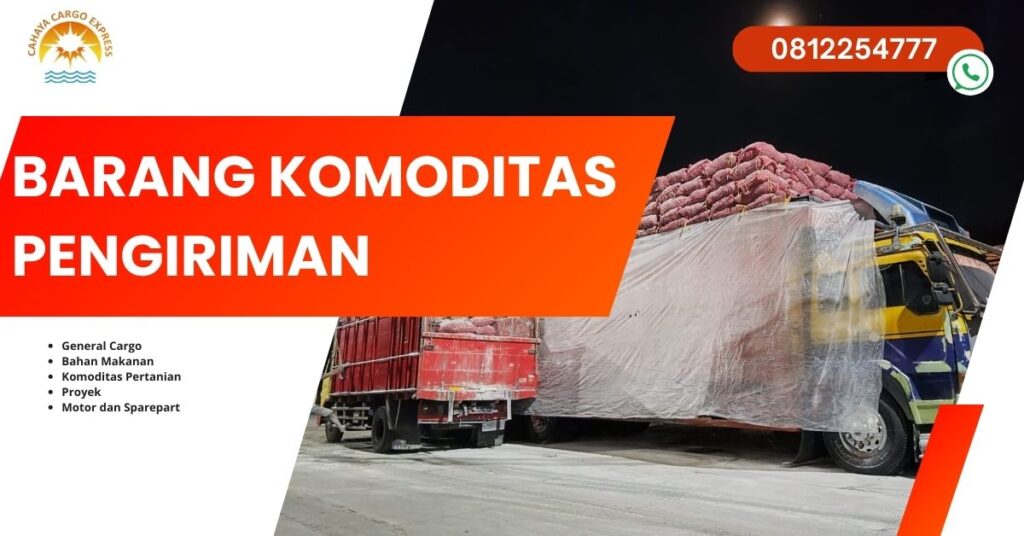 Jenis Barang yang Bisa Dikirim ke Sulawesi